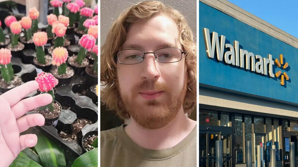Alt: mini plants (l) man shares walmart garden center observation (c) walmart storefront (r)