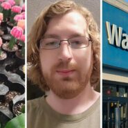 Alt: mini plants (l) man shares walmart garden center observation (c) walmart storefront (r)