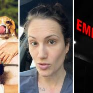 woman kissing dog (l) Doctor shares dog warnings (c) Emergency room (r)
