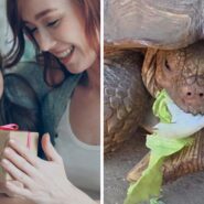 woman gifts her daughter (l) big old tortoise (r)