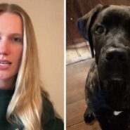 woman shares dog ears observation (l) cute mastiff (r)