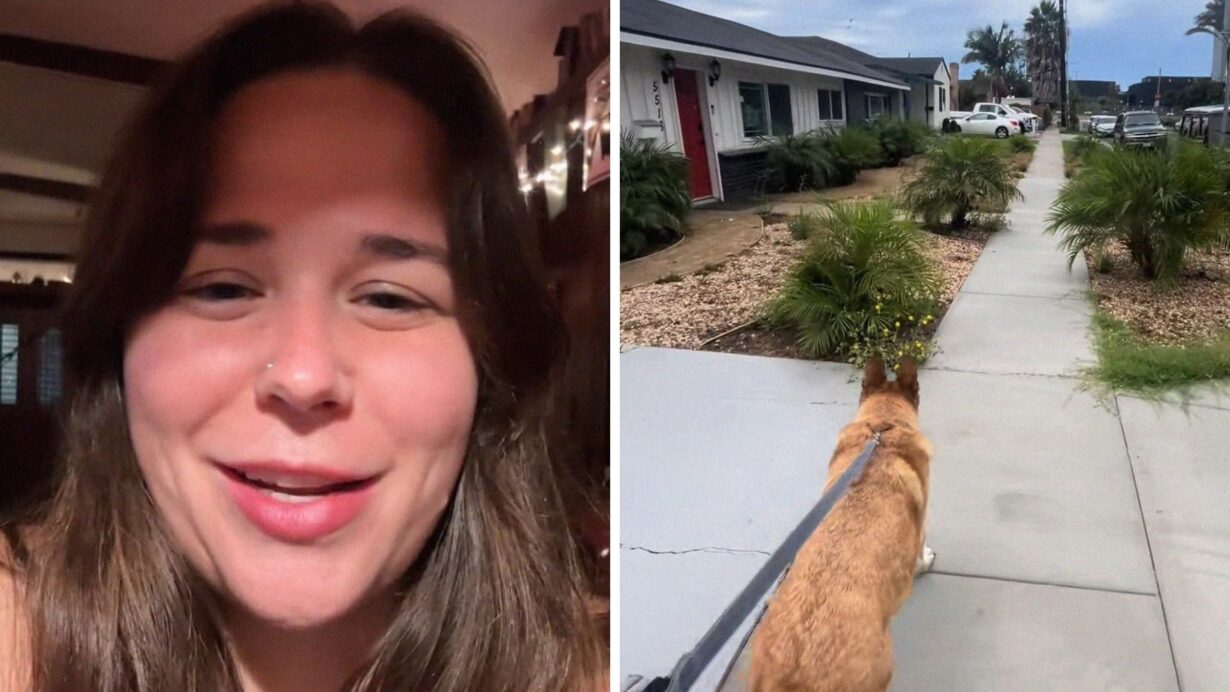 woman shares dog walks experience (l) German shepherd going on a walk (r)
