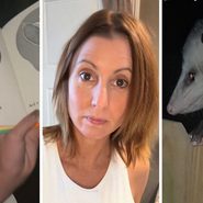 story book (l) woman shows off pet opossum (c) backyard possum (r)