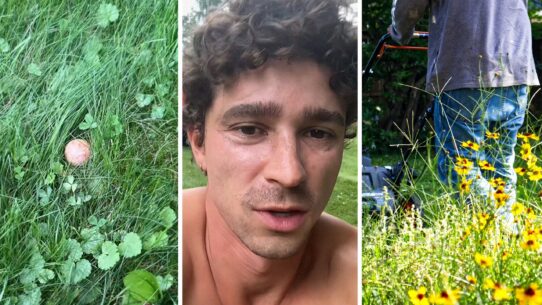 orb on the ground (l) man shares backyard encounter (c) man working on his backyard (r)
