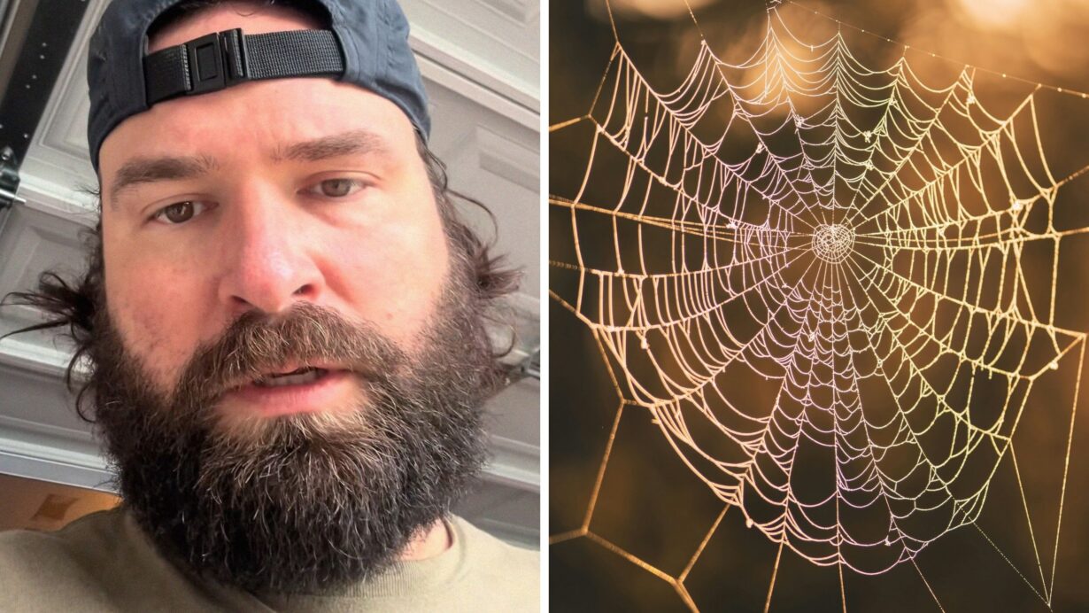 man shares spider issue (l) spider web (r)