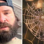 man shares spider issue (l) spider web (r)