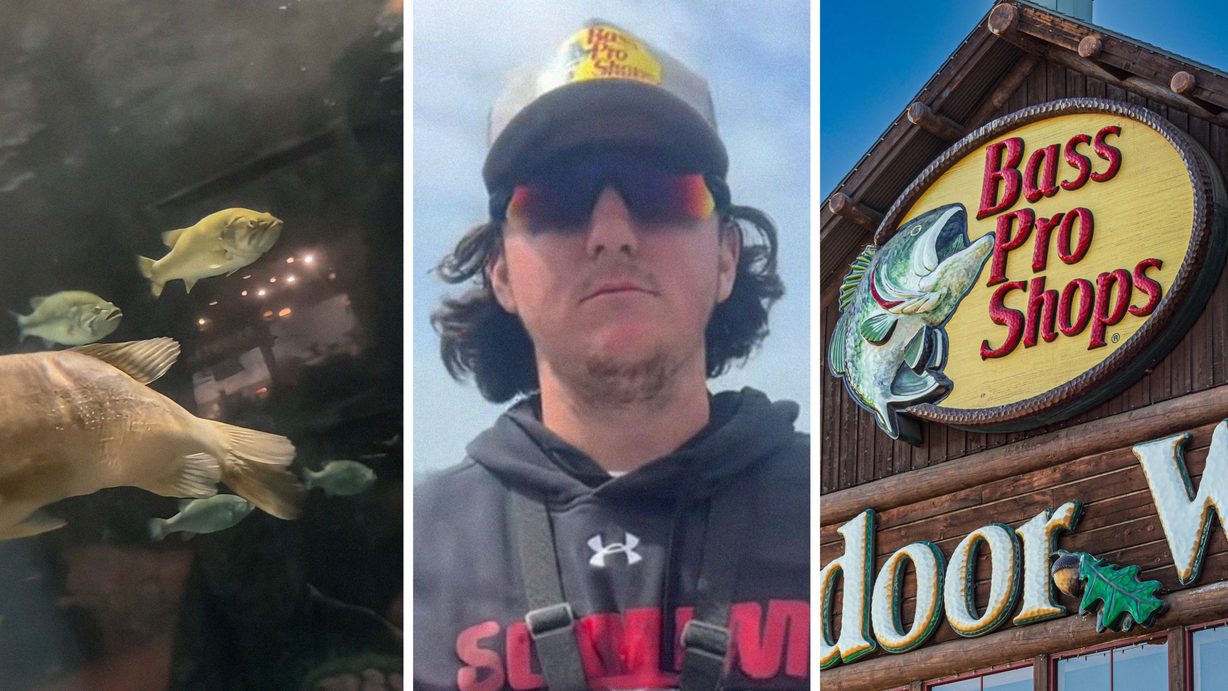 fish in a tank (l) man shares Bass Pro Shop observation (c) Bass Pro Shop entrance (r)