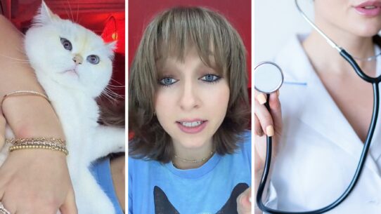 cute white cat (l) woman shares vet issue (c) Female vet (r)