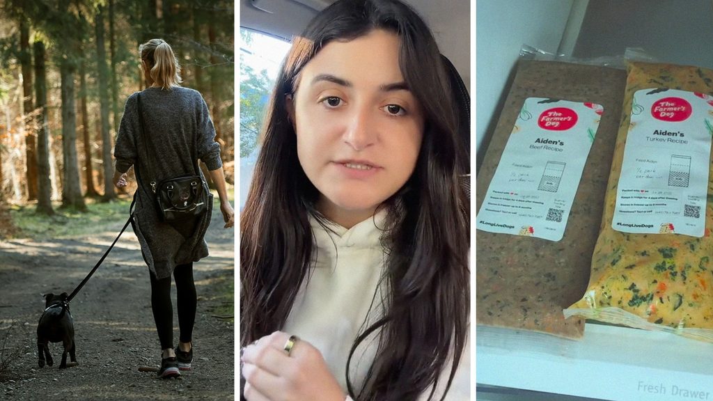 professional dog walker (l) woman shares dog food concern (c) The Farmer's dog food (r)