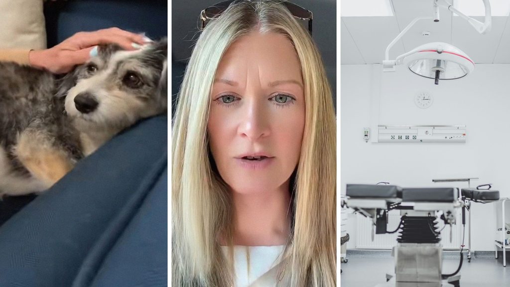 cute puppy (l) woman shares dog emergency experience (c) Pet emergency room (r)