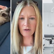 cute puppy (l) woman shares dog emergency experience (c) Pet emergency room (r)