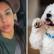 woman shares advice for dog owners (l) cute little dog (r)