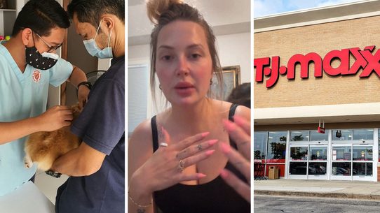 ill dog at the vet (l) woman shares dog concern (c) TJ Maxx storefront (r)