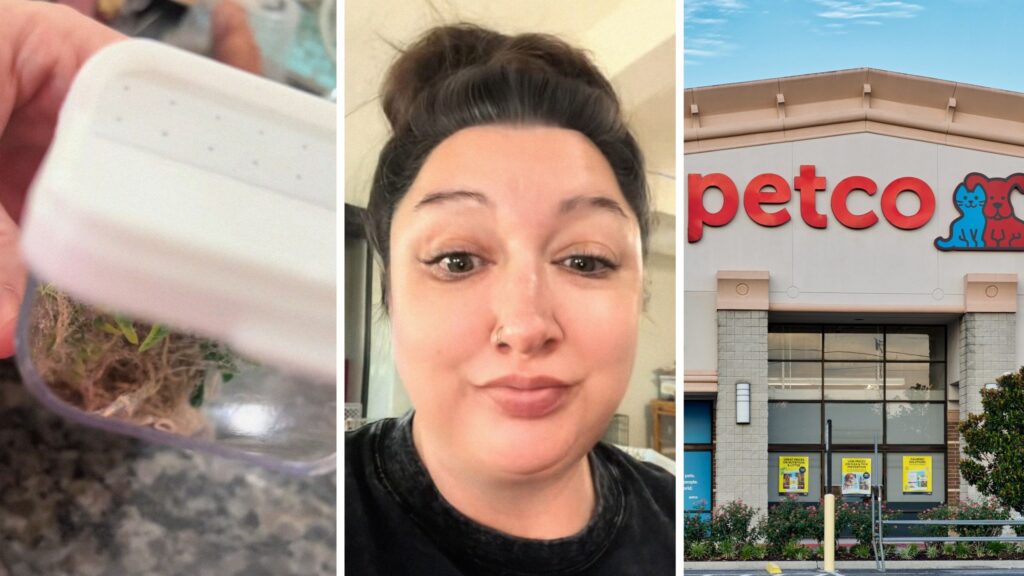 spider cage (l) woman shares spider purchase concern (c) Petco storefront (r)