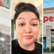 spider cage (l) woman shares spider purchase concern (c) Petco storefront (r)