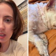 woman shares lost and found dog experience (l) cute little dog (r)