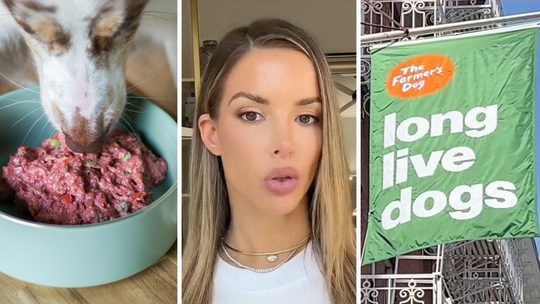dog eating (l) woman shares dog food concern (c) Farmer's Dog office (r)