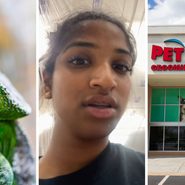 Chameleon for sale (l) woman shares PetSmart observation (c) Petsmart storefront (r)