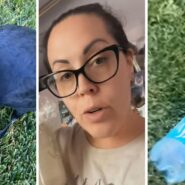 black crow (l) woman shares bird observation (c) bottle of Dasani water (r)